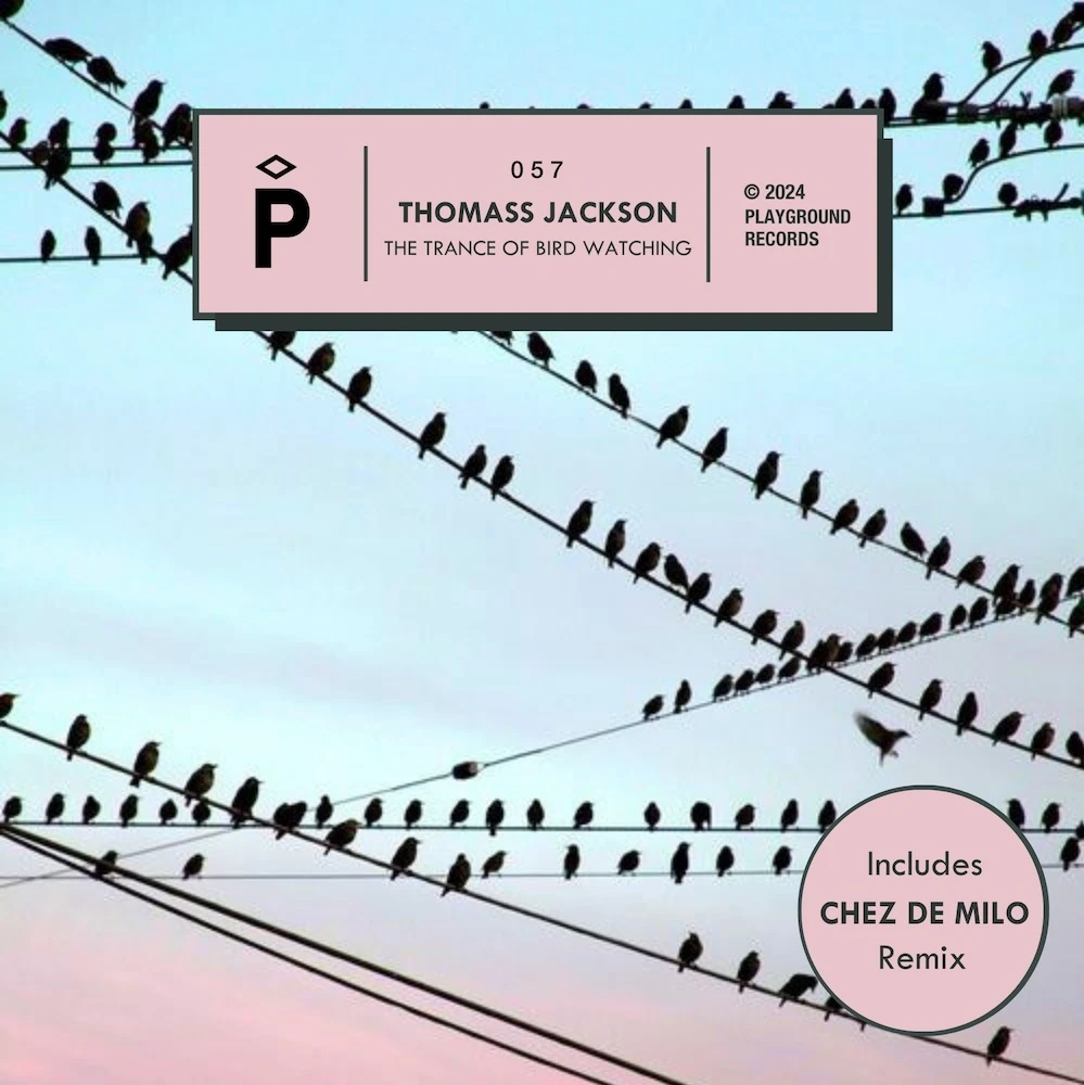 Premiere: Thomass Jackson - The Trance Of Bird Watching (Chez de Milo  Remix) - Ransom Note